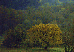 Le Sentier Bois