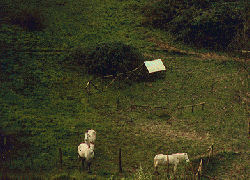 Le Sentier Prairie