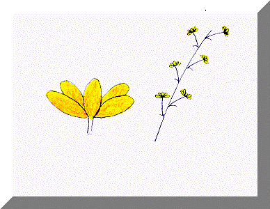 image14.gif