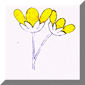 image15.gif