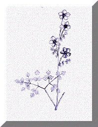 image17.gif