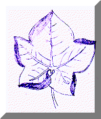 image19.gif