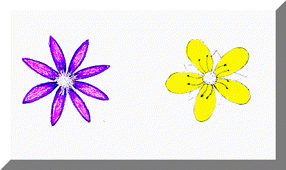 image2.gif