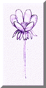 image20.gif
