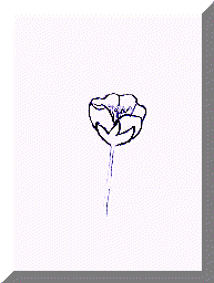 image21.gif