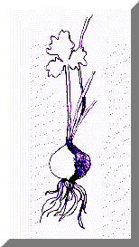 image22.gif