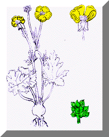image23.gif
