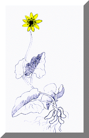 image24.gif