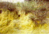 nicchia.gif (135618 byte)