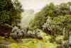 parco_p.gif (121126 byte)