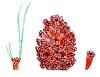 pinoh2.gif (39841 byte)