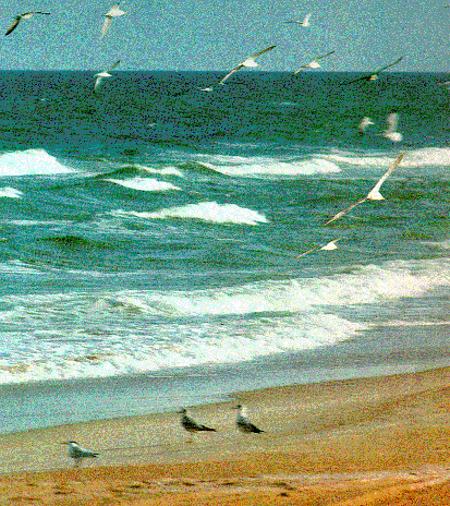 Il mare