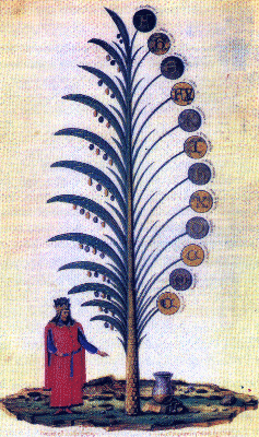 Raimondo Lullo